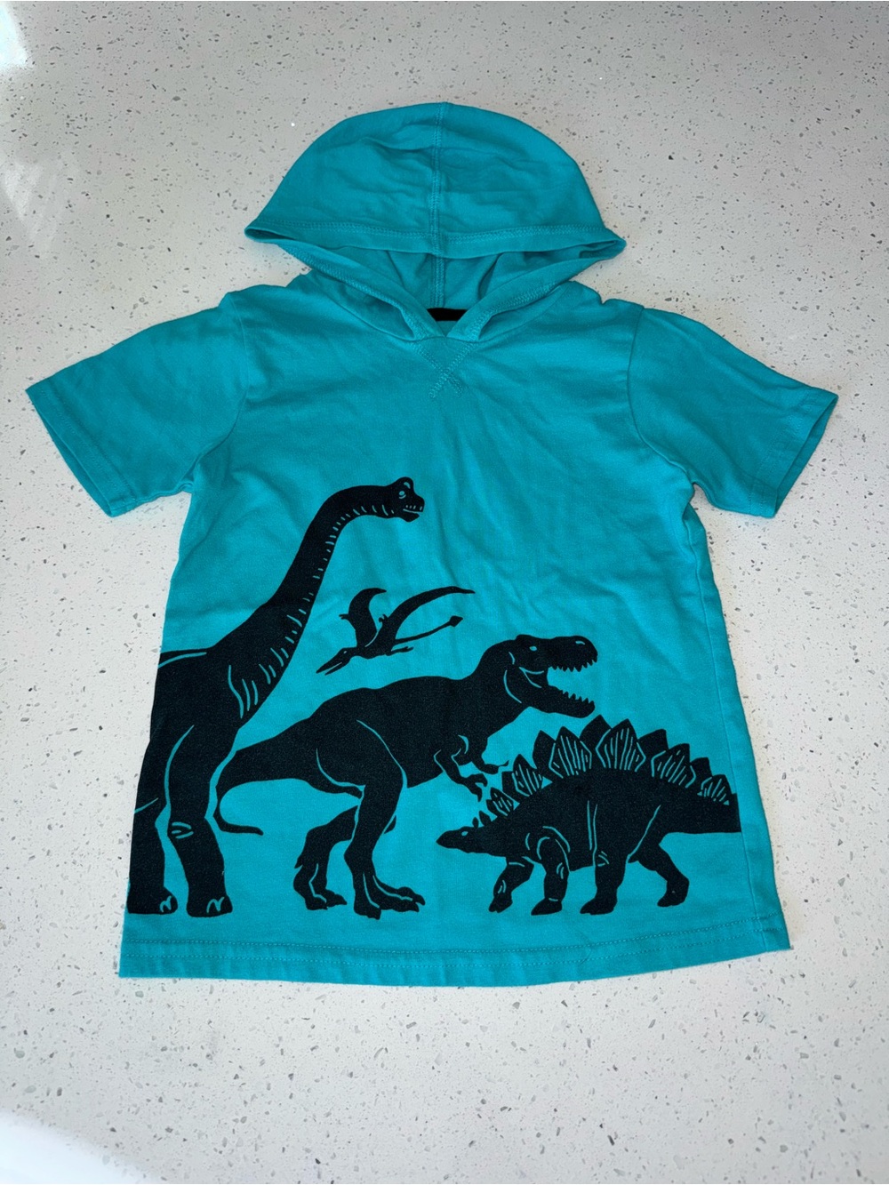 Kids Hooded Dino Graphic Tee - Turquoise